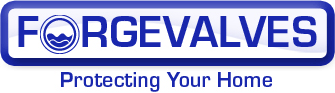 ForgeValves